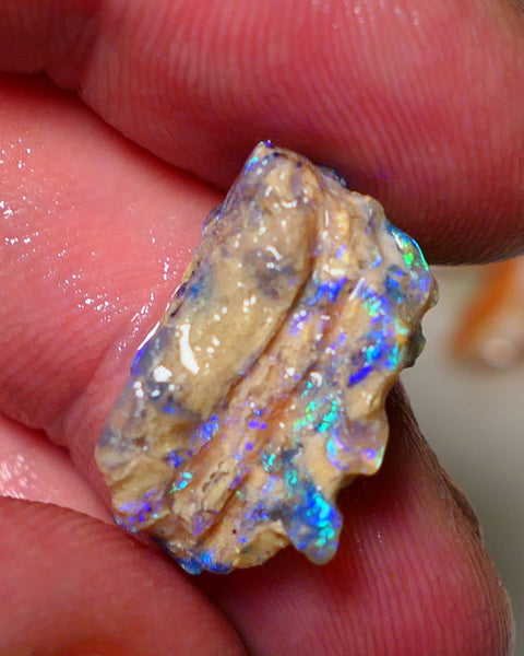 Lightning Ridge 26cts Very Bright pair of gorgeous Dark base Crystal Opalised fossil rough to cut/carve Vibrant Blue/purple/green 18x18x11mm & 2x12x9mm A1529