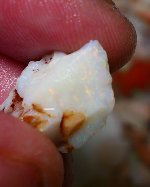 Coober Pedy Rough Opal 10cts White/Light Seam showing nice Yellow dominant multi colours 18x12x11mm A1532