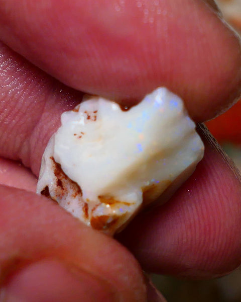 Coober Pedy Rough Opal 10cts White/Light Seam showing nice Yellow dominant multi colours 18x12x11mm A1532