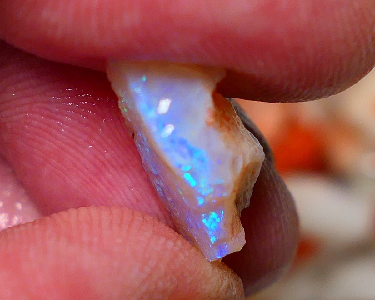 Coober Pedy Rough Opal 4.50cts Crystal Seam showing nice Bright  colours 16x9x6mm A1531