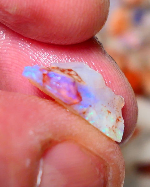 Coober Pedy Rough Opal 4.50cts Crystal Seam showing nice Bright  colours 16x9x6mm A1531