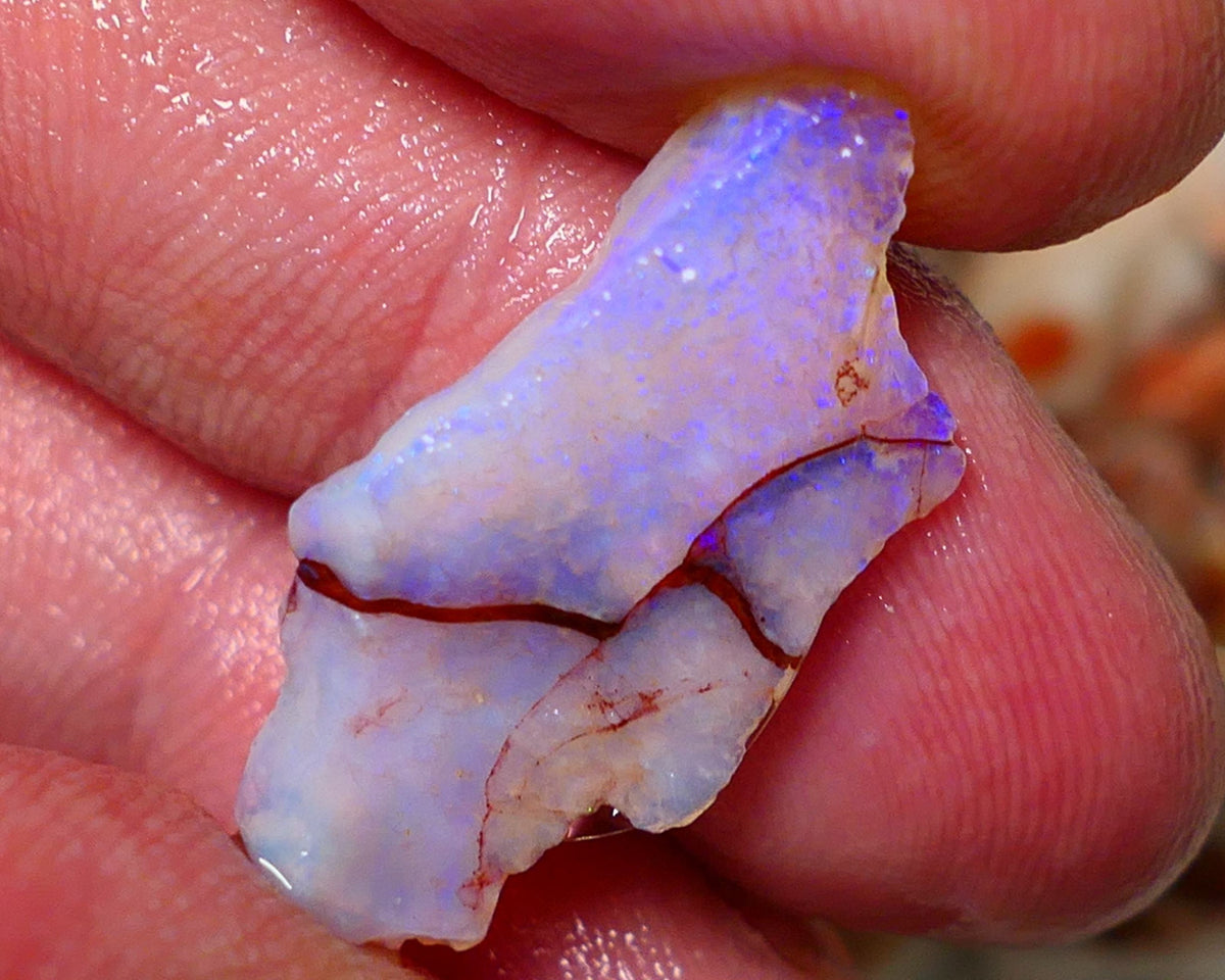 Coober Pedy Rough Opal 8.20cts Crystal Seam showing nice Bright  colours 29x14x5mm A1522