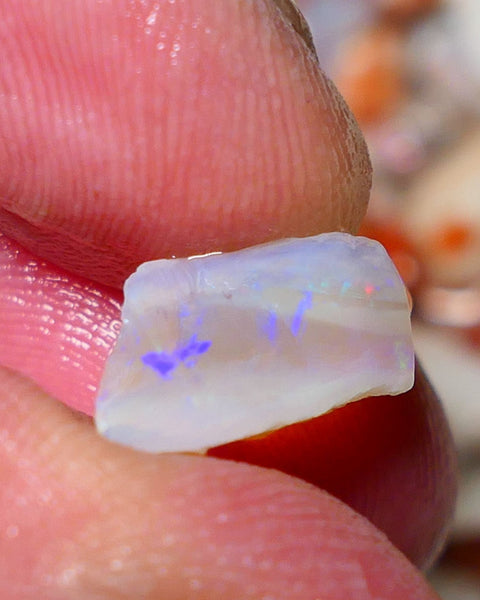 Lightning Ridge Rough Opal 6.00cts Crystal Seam piece showing blues with green & orange flashes 19x9x7mm A1521