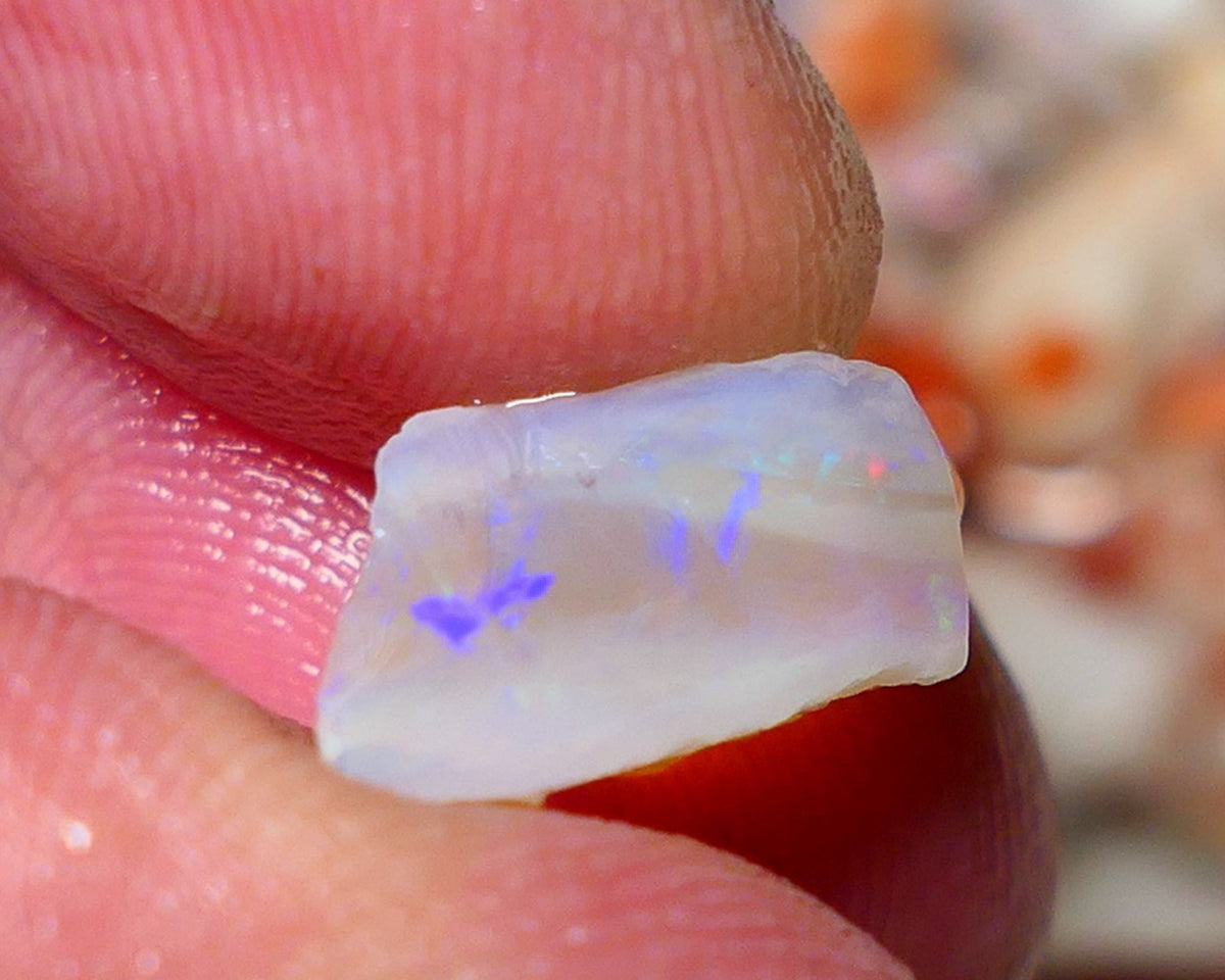 Lightning Ridge Rough Opal 6.00cts Crystal Seam piece showing blues with green & orange flashes 19x9x7mm A1521