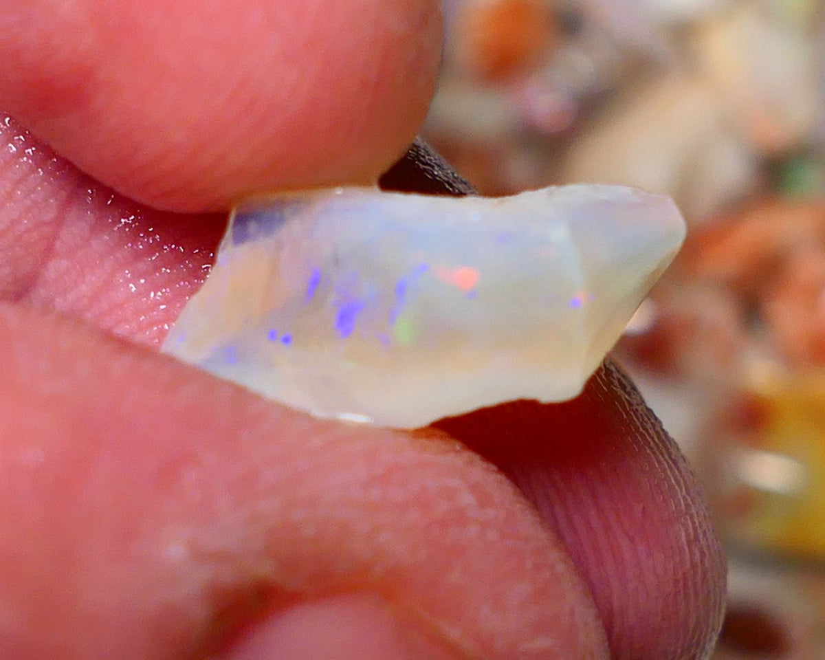 Lightning Ridge Rough Opal 6.00cts Crystal Seam piece showing blues with green & orange flashes 19x9x7mm A1521