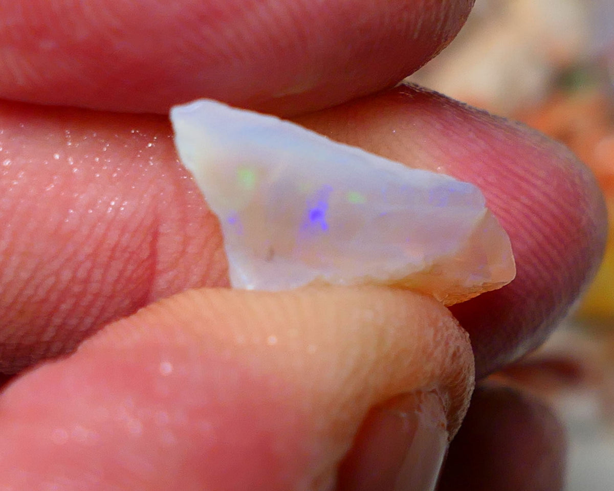 Lightning Ridge Rough Opal 6.00cts Crystal Seam piece showing blues with green & orange flashes 19x9x7mm A1521