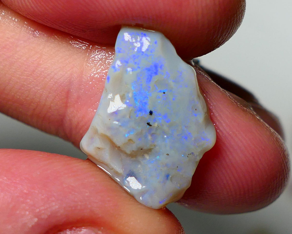 Lightning Ridge Rough Opal 8.25cts Dark Base Seam showing Nice bright blues colours 19X14X5MM a1541