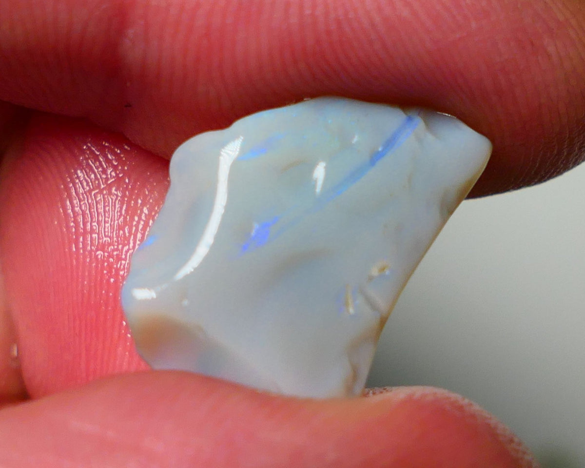 Lightning Ridge Rough Opal 8.25cts Dark Base Seam showing Nice bright blues colours 19X14X5MM a1541