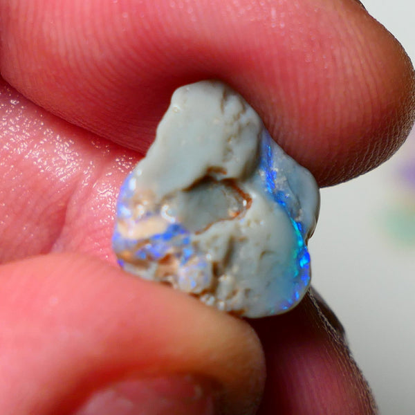 Lightning Ridge Rough Opal 4.50cts Dark Base Knobby showing Nice bright Blue/Green colours 14x13x5mm A1546