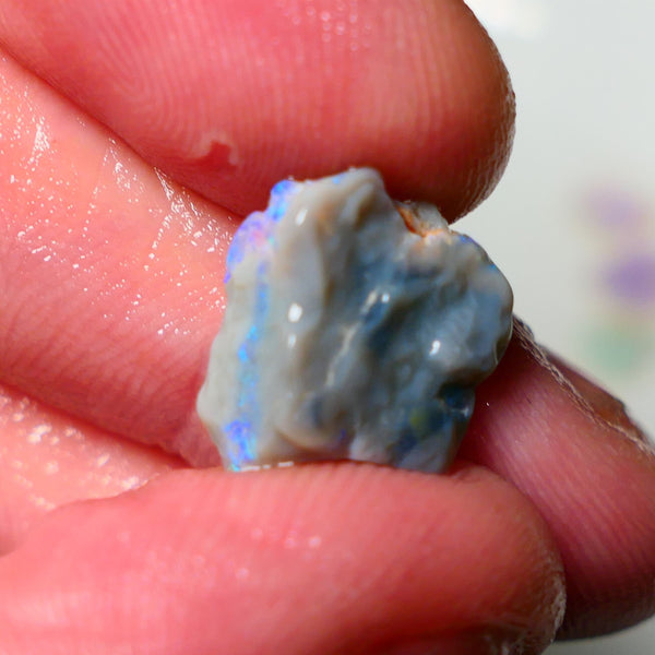 Lightning Ridge Rough Opal 4.50cts Dark Base Knobby showing Nice bright Blue/Green colours 14x13x5mm A1546