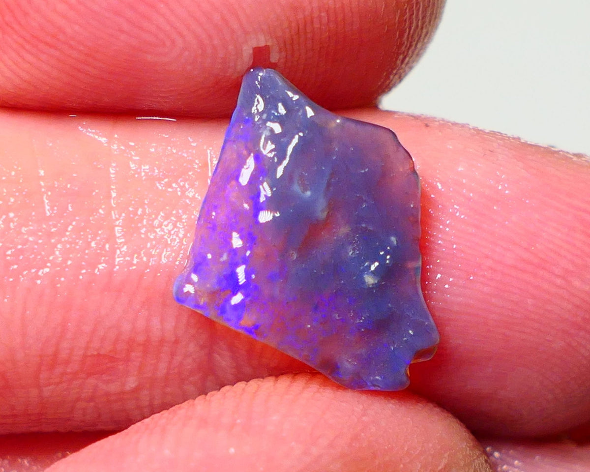 Lightning Ridge Rough Opal 1.40cts Thin Dark Base Seam showing Nice bright blues colours 13x12x2mm A1544