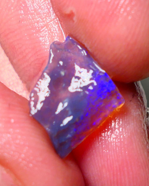 Lightning Ridge Rough Opal 1.40cts Thin Dark Base Seam showing Nice bright blues colours 13x12x2mm A1544