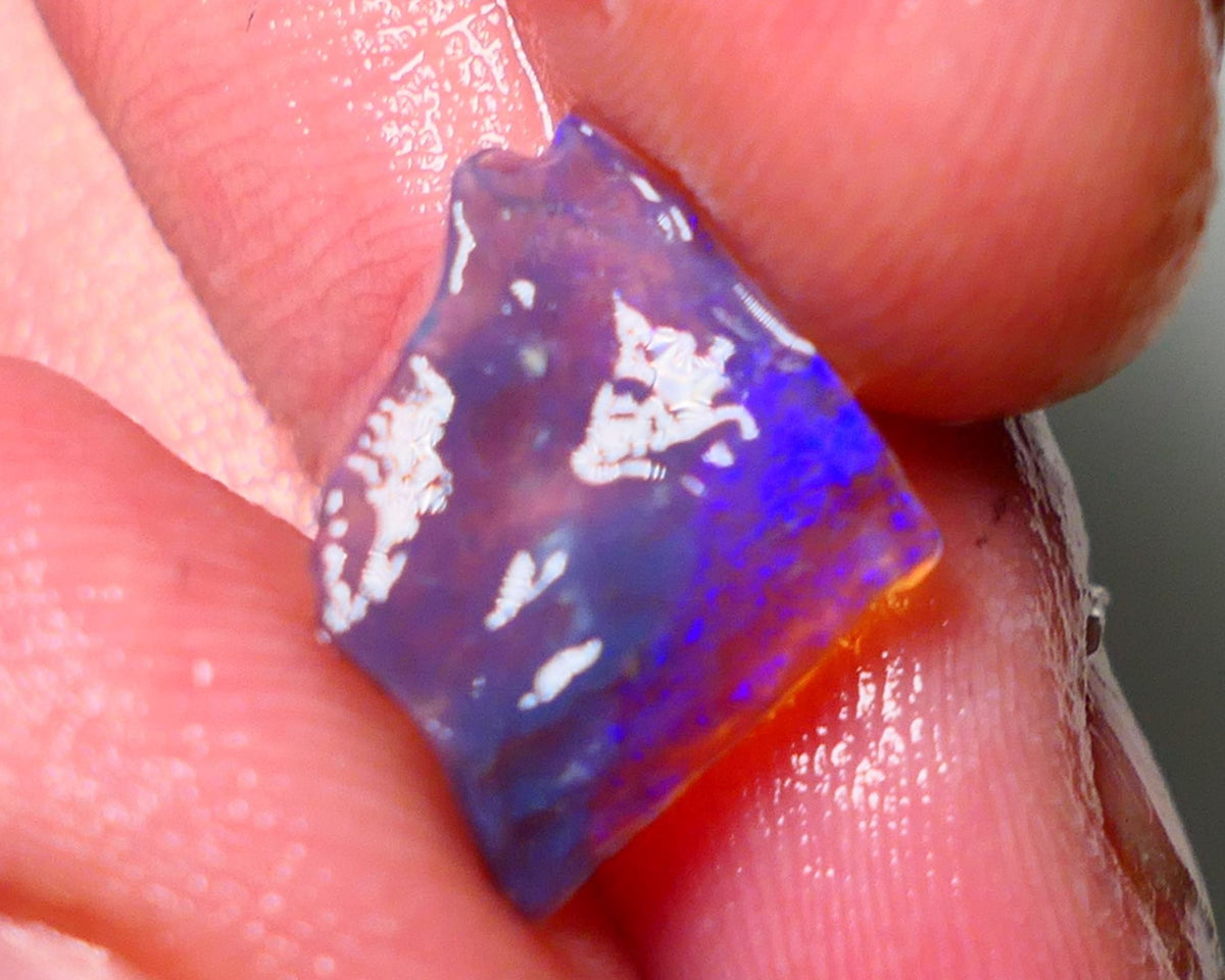 Lightning Ridge Rough Opal 1.40cts Thin Dark Base Seam showing Nice bright blues colours 13x12x2mm A1544