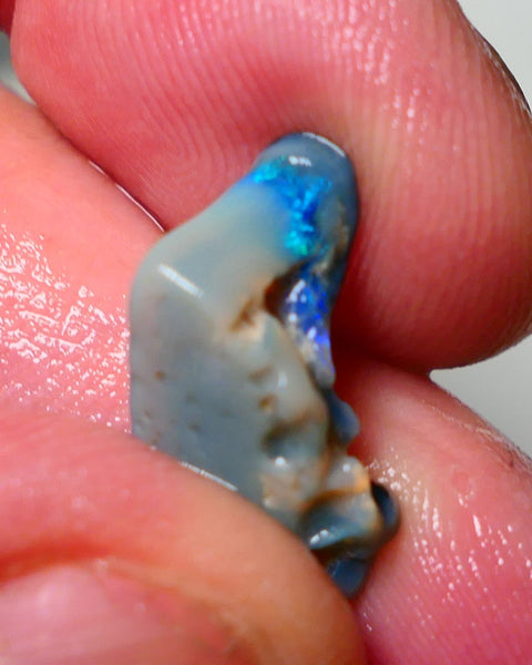 Lightning Ridge Rough Opal 4.25cts Dark Base Seam showing Gemmy bright Blue/Green 18x10x8mm A1547