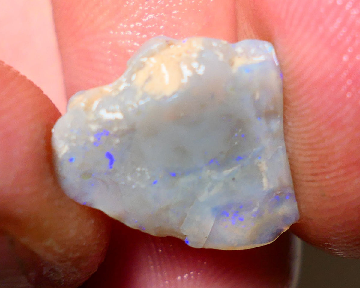 Lightning Ridge Rough Opal 6.50cts Dark Base Gamble Seam some Blue fires in the bar 16x14x6mm Auction NS004