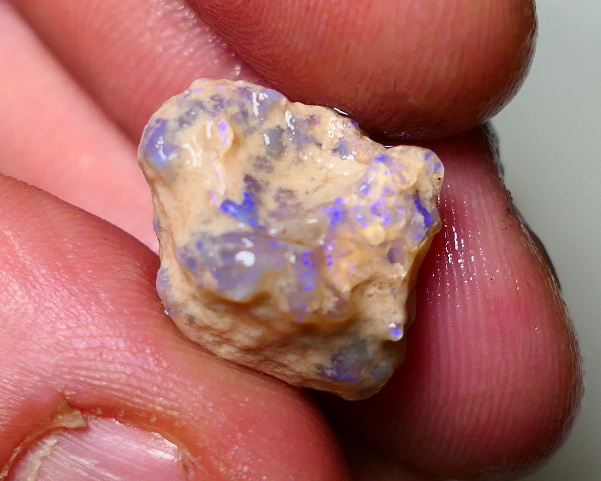 Lightning Ridge Rough Opal 11cts Crystal Base Gamble Knobby formation some  blue fires 18x16x10mm Auction NS013