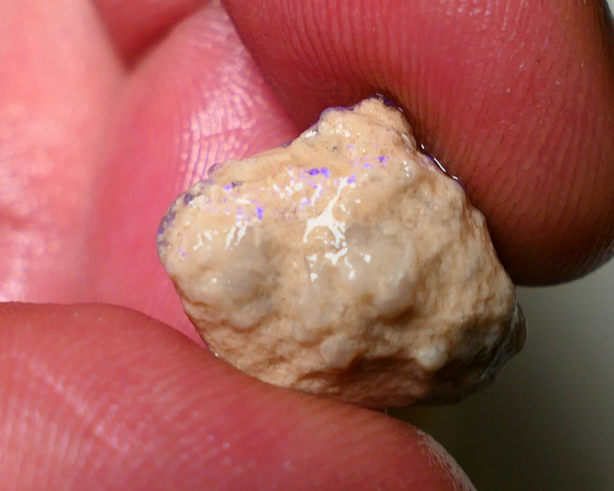 Lightning Ridge Rough Opal 11cts Crystal Base Gamble Knobby formation some  blue fires 18x16x10mm Auction NS013