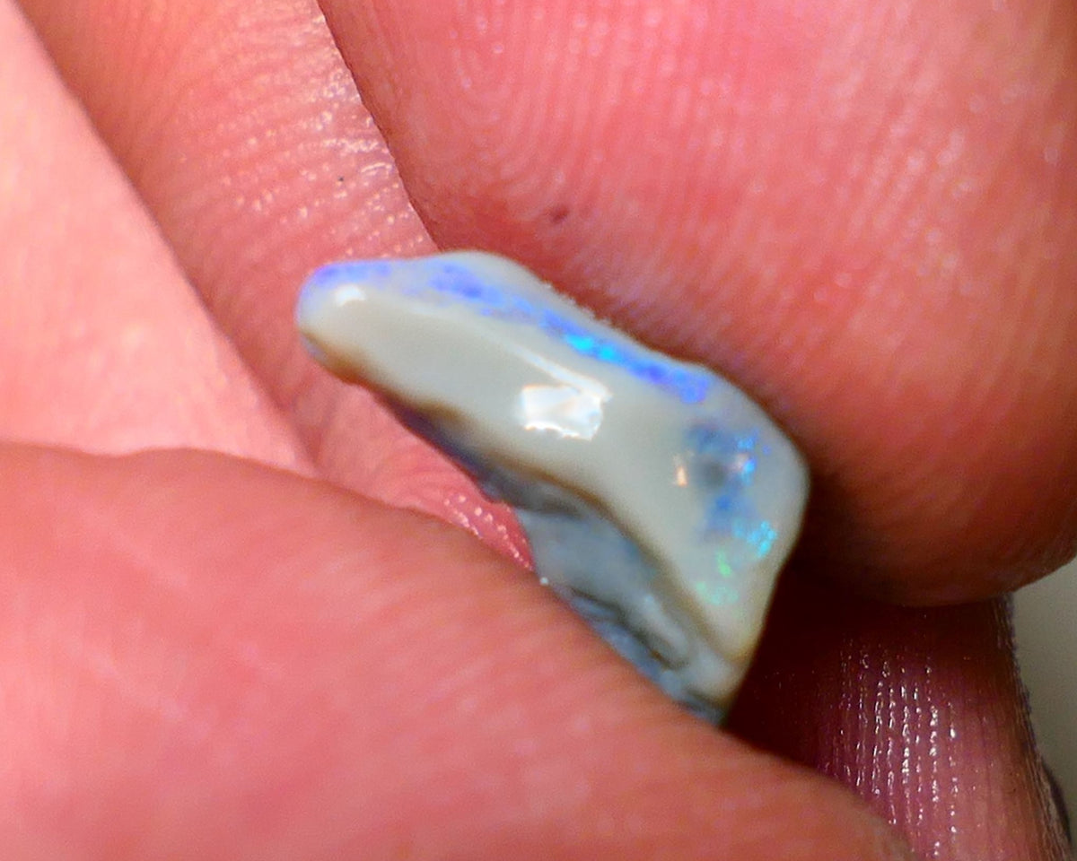 Lightning Ridge Rough Opal 1.70cts Small sized Dark Base Gamble Seam Bright Green/Blue fires in the bar 13x6x5mm Auction NS014