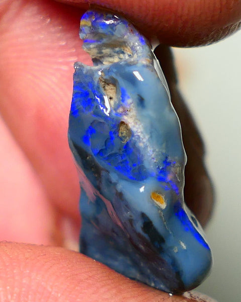 Lightning Ridge Rough Opal 12cts Nice size Black/ Dark Gamble Seam Bright Blues 25x14x8mm NS056