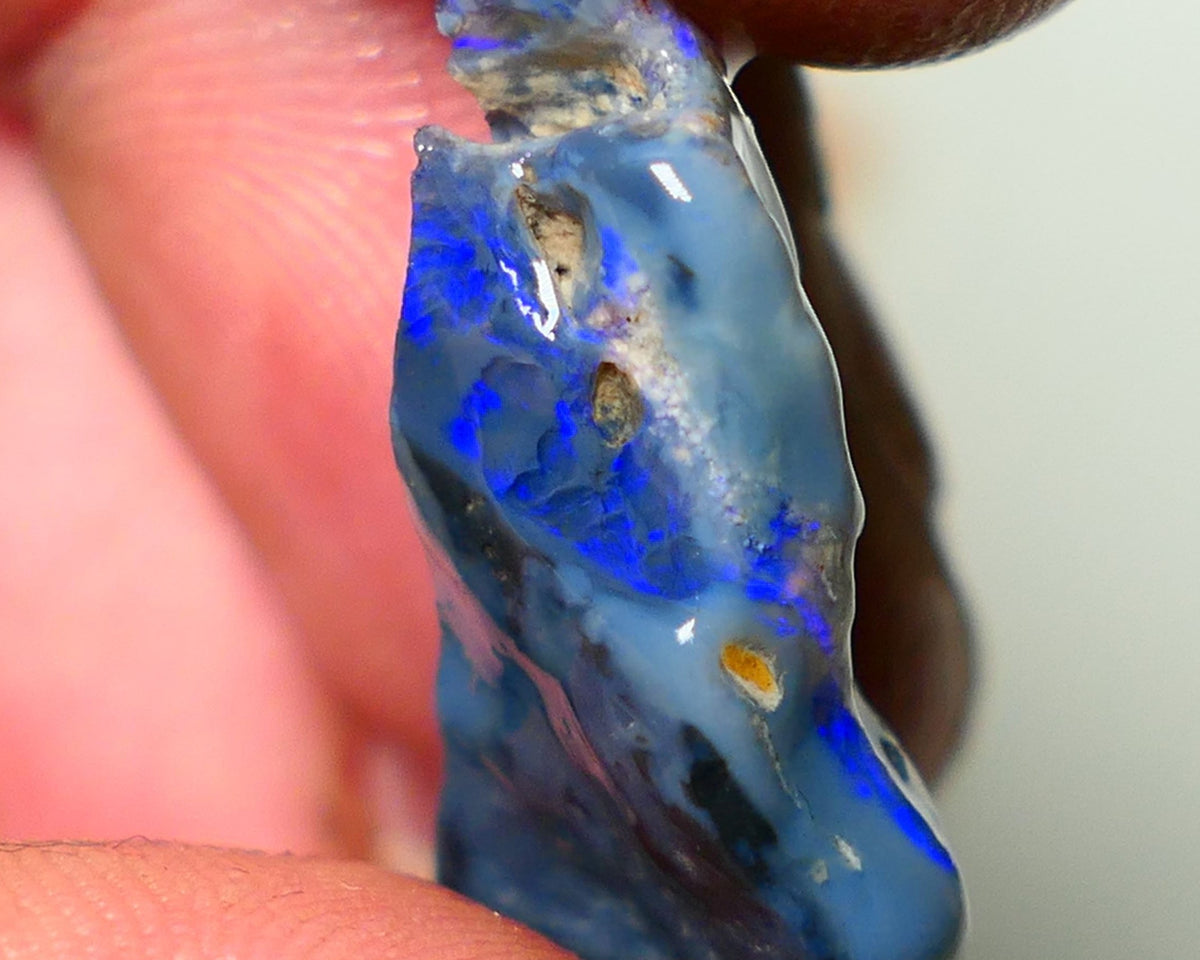 Lightning Ridge Rough Opal 12cts Nice size Black/ Dark Gamble Seam Bright Blues 25x14x8mm NS056