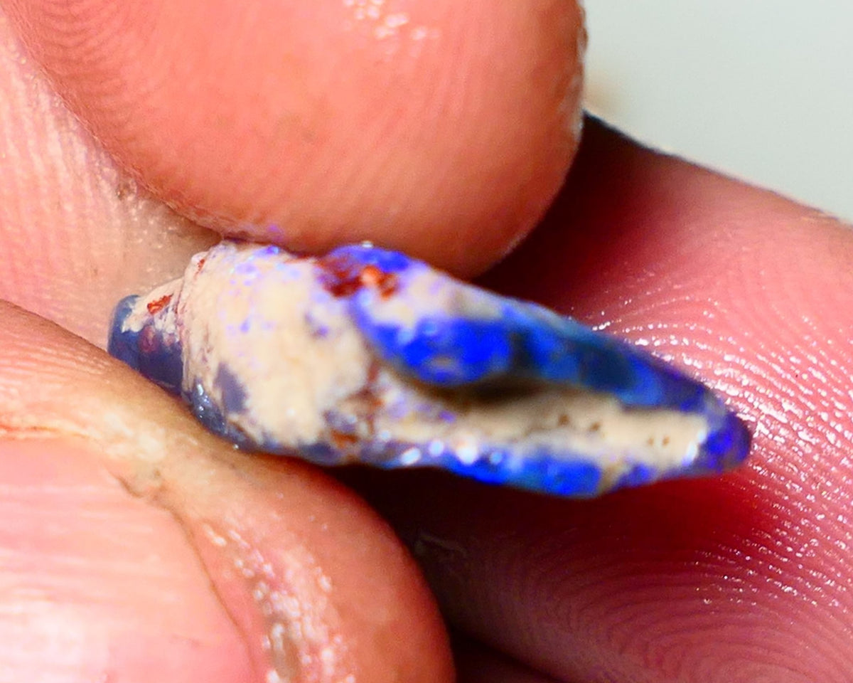 Lightning Ridge Rough Opal 5.5cts Dark Base Seam Gorgeous Vibrant bright blues colours 20x11x5mm NS055