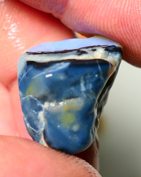 Lightning Ridge Rough Opal 27cts Lots blues in crystal sat on Black base Gamble Seam Chunk 24x18x15mm NS054