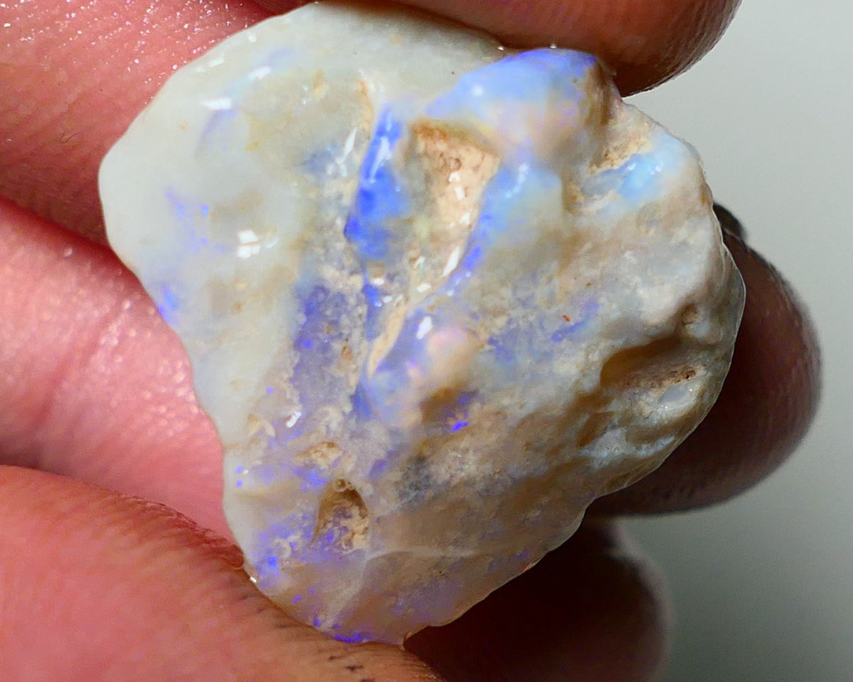 Lightning Ridge Rough Opal 19cts Bright blues on nice sized Grey base Gamble Seam 23x20x8mm NS053