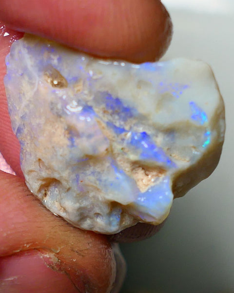 Lightning Ridge Rough Opal 19cts Bright blues on nice sized Grey base Gamble Seam 23x20x8mm NS053