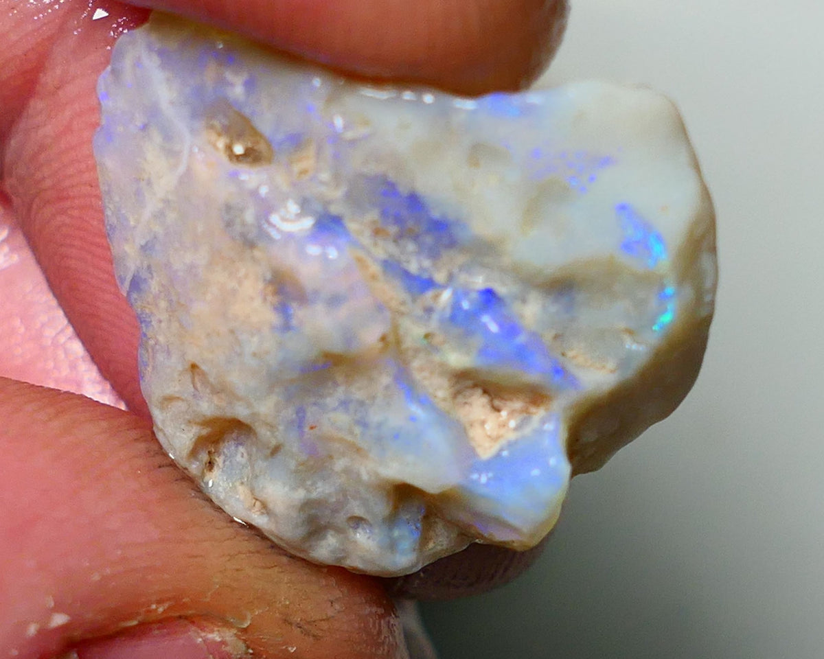 Lightning Ridge Rough Opal 19cts Bright blues on nice sized Grey base Gamble Seam 23x20x8mm NS053