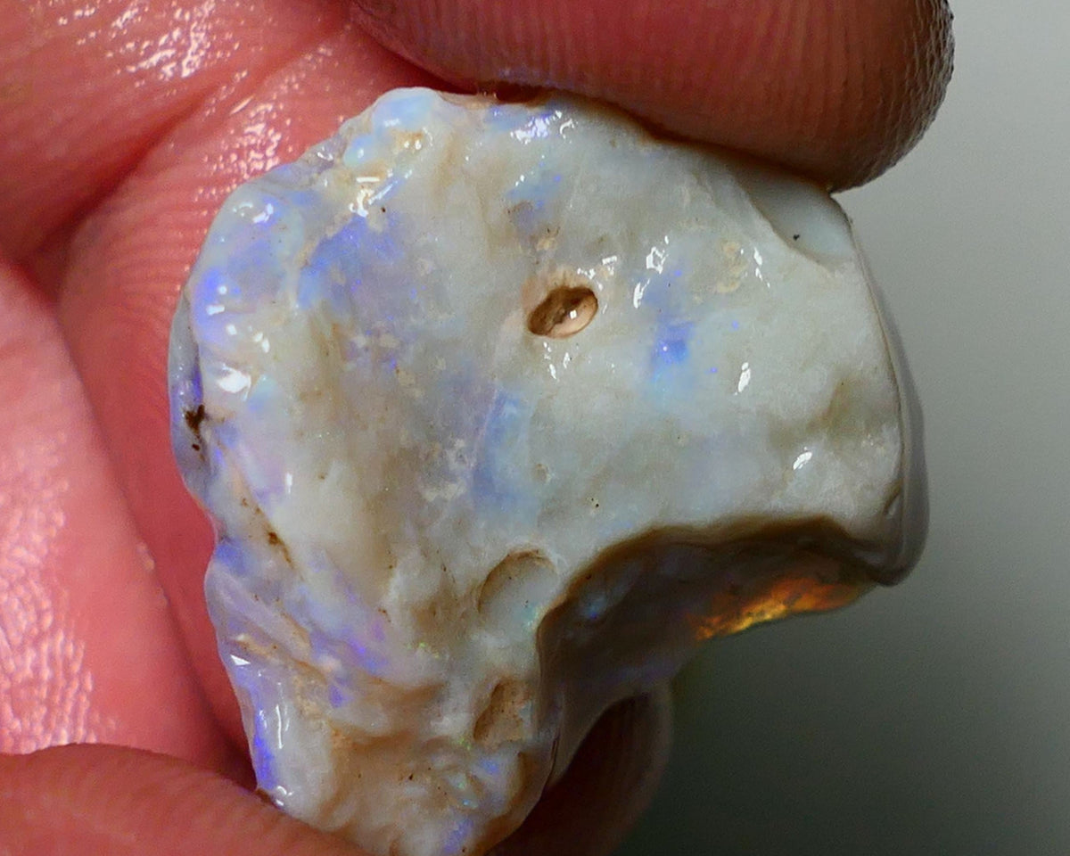 Lightning Ridge Rough Opal 19cts Bright blues on nice sized Grey base Gamble Seam 23x20x8mm NS053