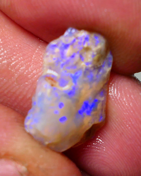 Lightning Ridge Rough Opal 6.5cts Crystal Base Gamble Seam Nice Blue fires showing 19x13x5mm Auction NS051