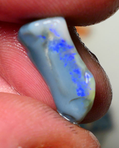 Lightning Ridge Rough Opal 7cts Dark Base Seam showing Nice bright blues colours 19x9x7mm NS050