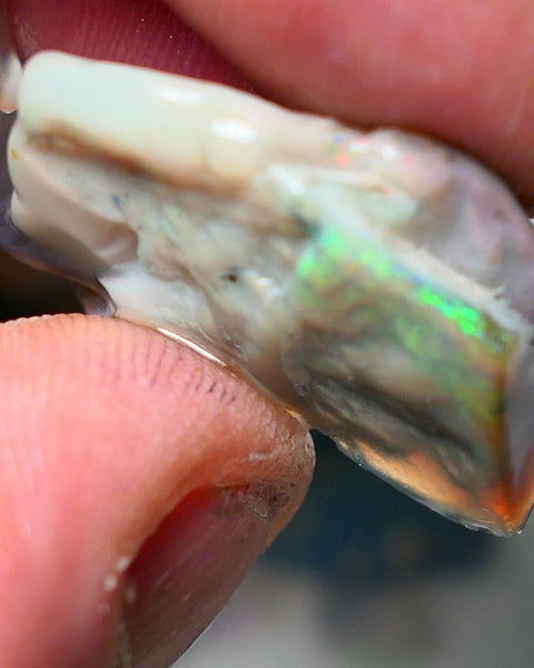 Lightning Ridge Rough Opal 32cts Big sized Yellow/Green on Dark Seam Gamble 31x20x11mm NS049