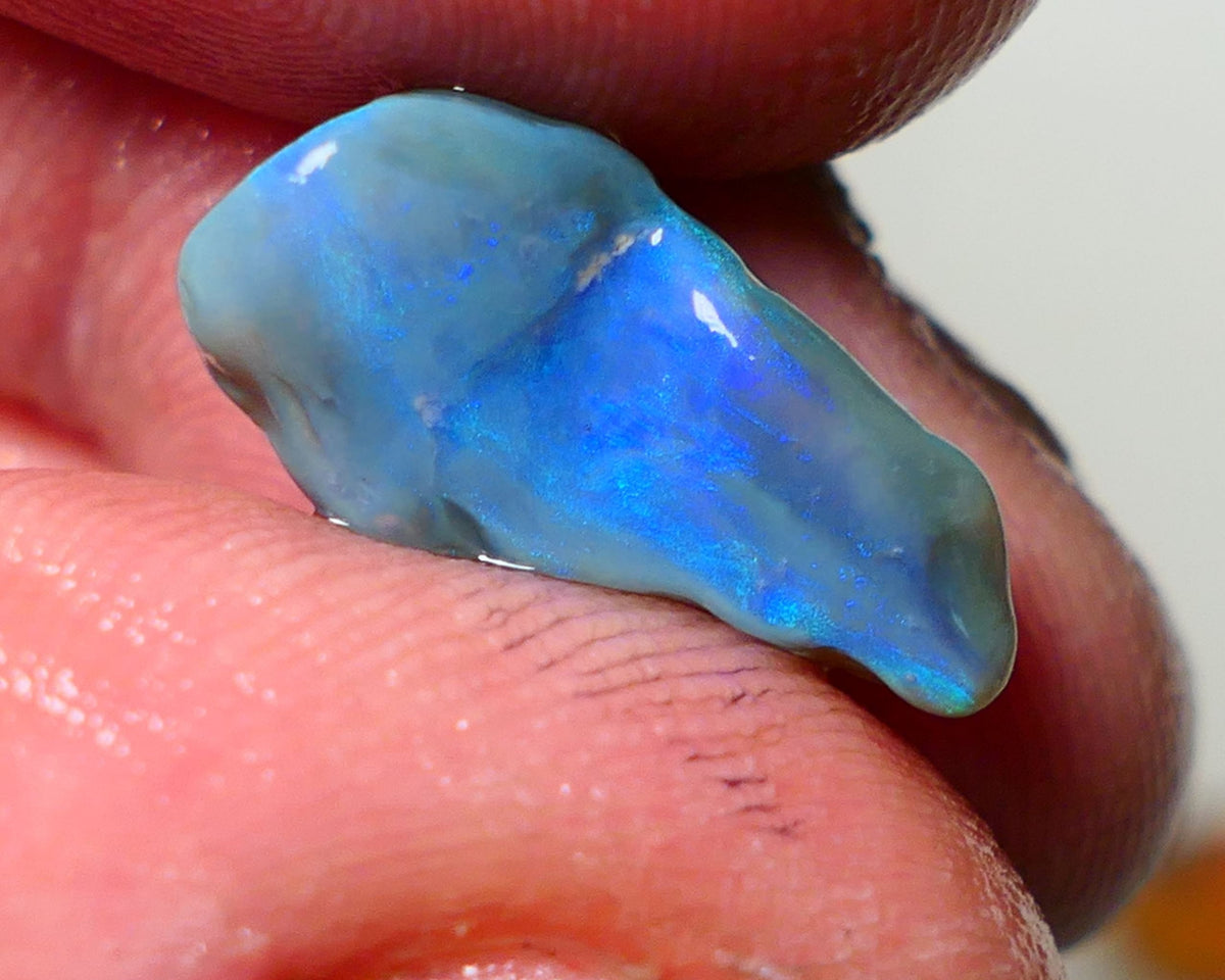 Lightning Ridge Rough Opal 5.75cts Dark Base Seam showing Nice bright blues colours 18x8x7mm NS047