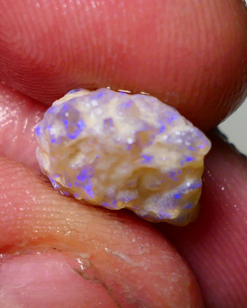 Lightning Ridge Rough Opal 4.75cts Dark Crystal Base Gamble Knobby formation showing blue fires 12x10x7mm Auction NS045