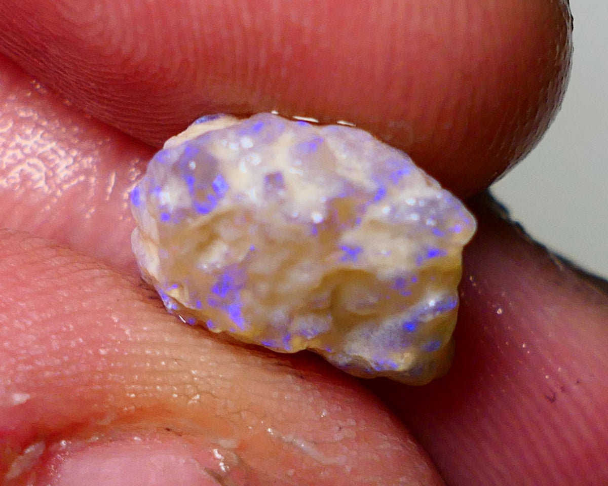 Lightning Ridge Rough Opal 4.75cts Dark Crystal Base Gamble Knobby formation showing blue fires 12x10x7mm Auction NS045