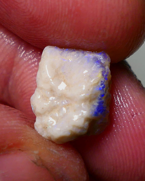 Lightning Ridge Rough Opal 4.75cts Dark Crystal Base Gamble Knobby formation showing blue fires 12x10x7mm Auction NS045