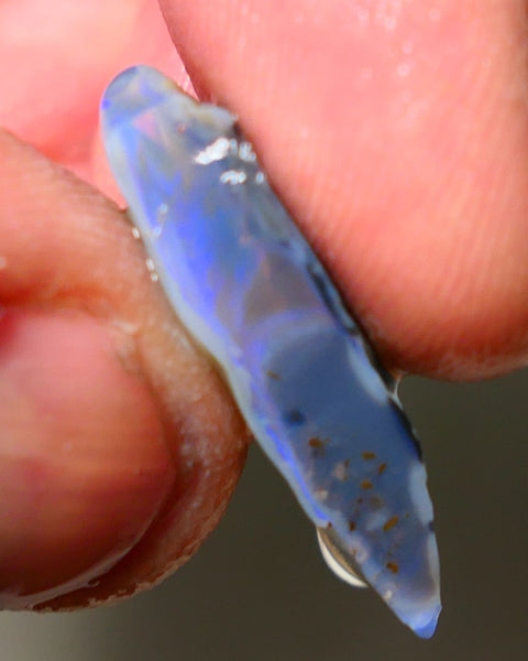 Lightning Ridge Rough Opal 13cts Bit of blue on Dark Gamble Seam 26x12x6mm NS044