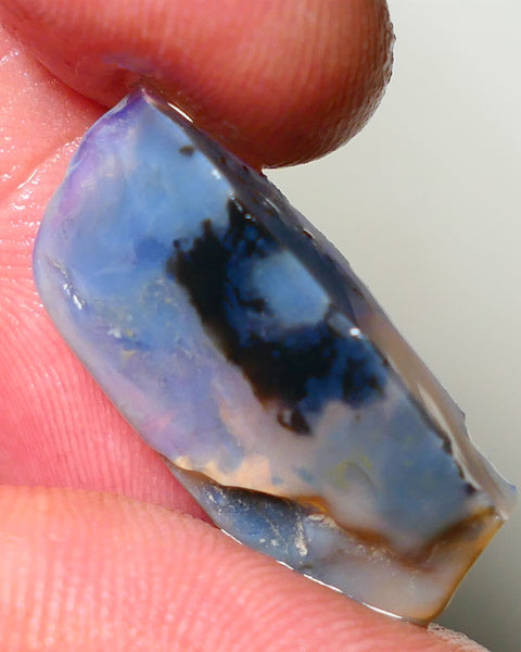 Lightning Ridge Rough Opal 13cts Bit of blue on Dark Gamble Seam 26x12x6mm NS044