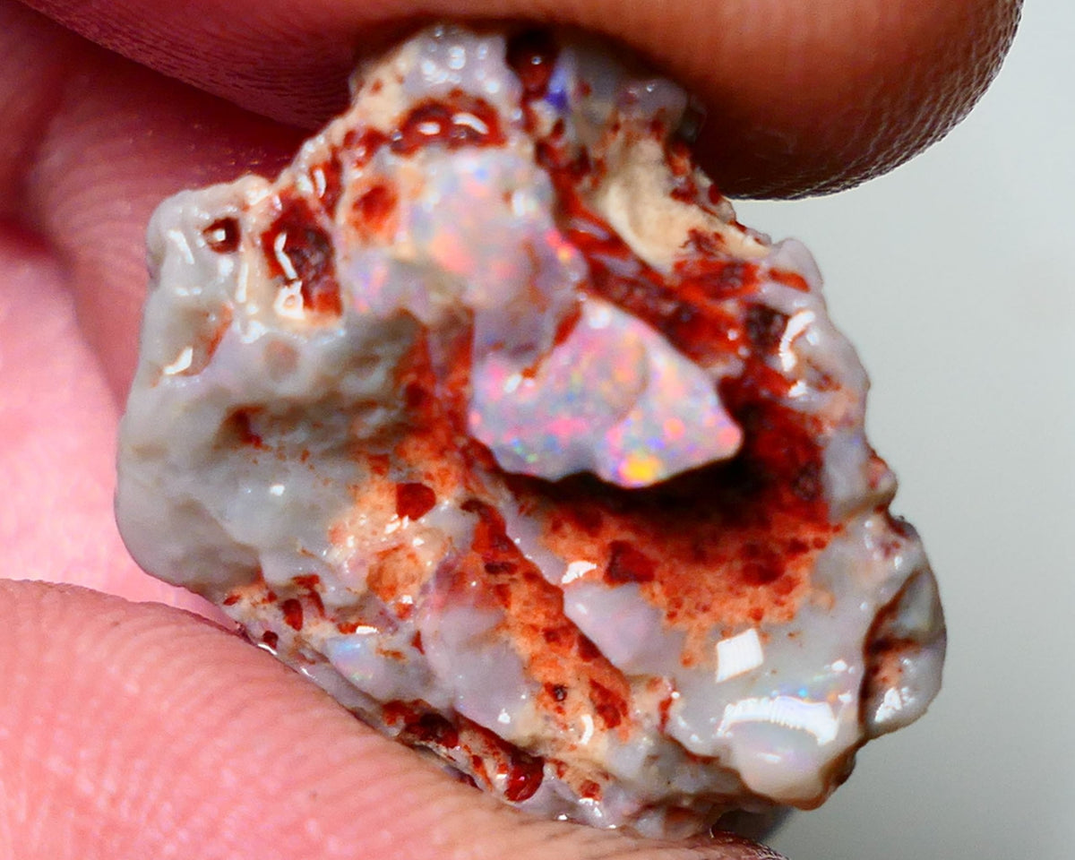 Lightning Ridge Rough Opal 15cts Dark Base Gamble Knobby formation Pinks & Multifires fires 20x17x10mm Auction NS041