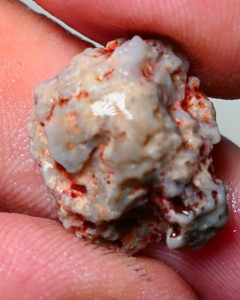 Lightning Ridge Rough Opal 15cts Dark Base Gamble Knobby formation Pinks & Multifires fires 20x17x10mm Auction NS041