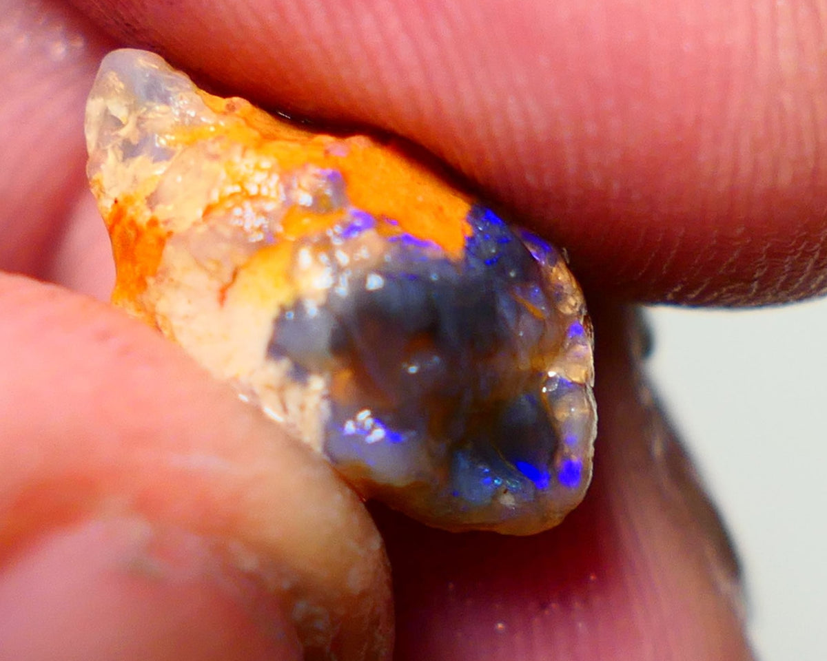 Lightning Ridge Rough Opal 6cts Blue on Black Crystal Knobby Gamble 15x12x7mm NS038