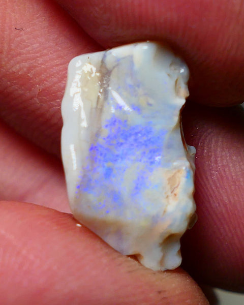 Lightning Ridge Rough Opal 7.75cts Grey Base Gamble Seam some Blue fires in the bar 20x11x6mm Auction NS033