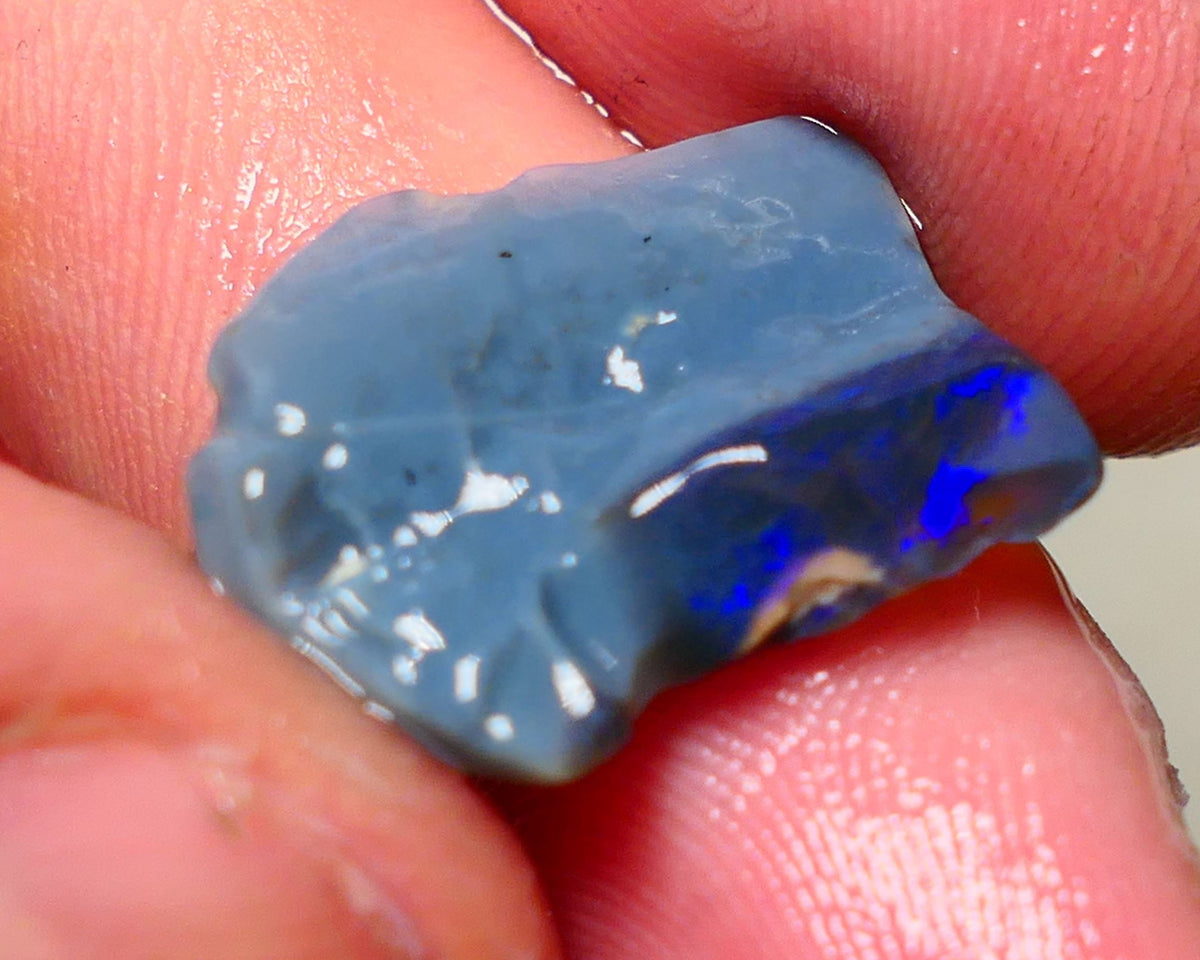 Lightning Ridge Rough Opal 7.50cts Blue on Dark Gamble Seam Nice Blues 19x16x3mm NS031