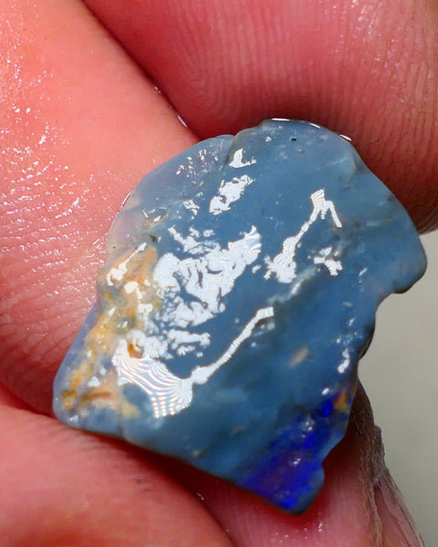 Lightning Ridge Rough Opal 7.50cts Blue on Dark Gamble Seam Nice Blues 19x16x3mm NS031