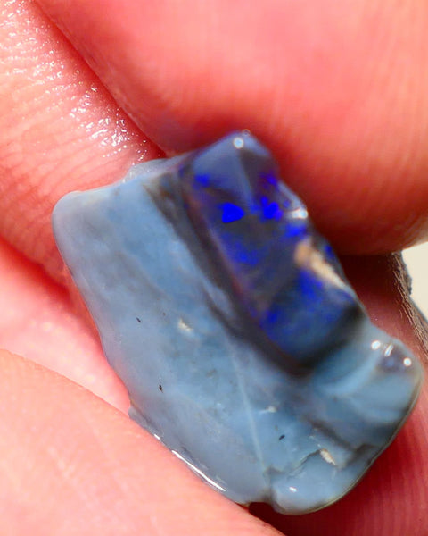 Lightning Ridge Rough Opal 7.50cts Blue on Dark Gamble Seam Nice Blues 19x16x3mm NS031