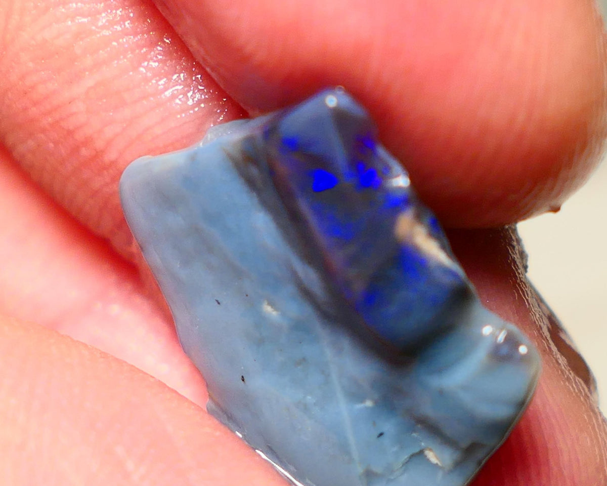 Lightning Ridge Rough Opal 7.50cts Blue on Dark Gamble Seam Nice Blues 19x16x3mm NS031