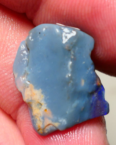 Lightning Ridge Rough Opal 7.50cts Blue on Dark Gamble Seam Nice Blues 19x16x3mm NS031