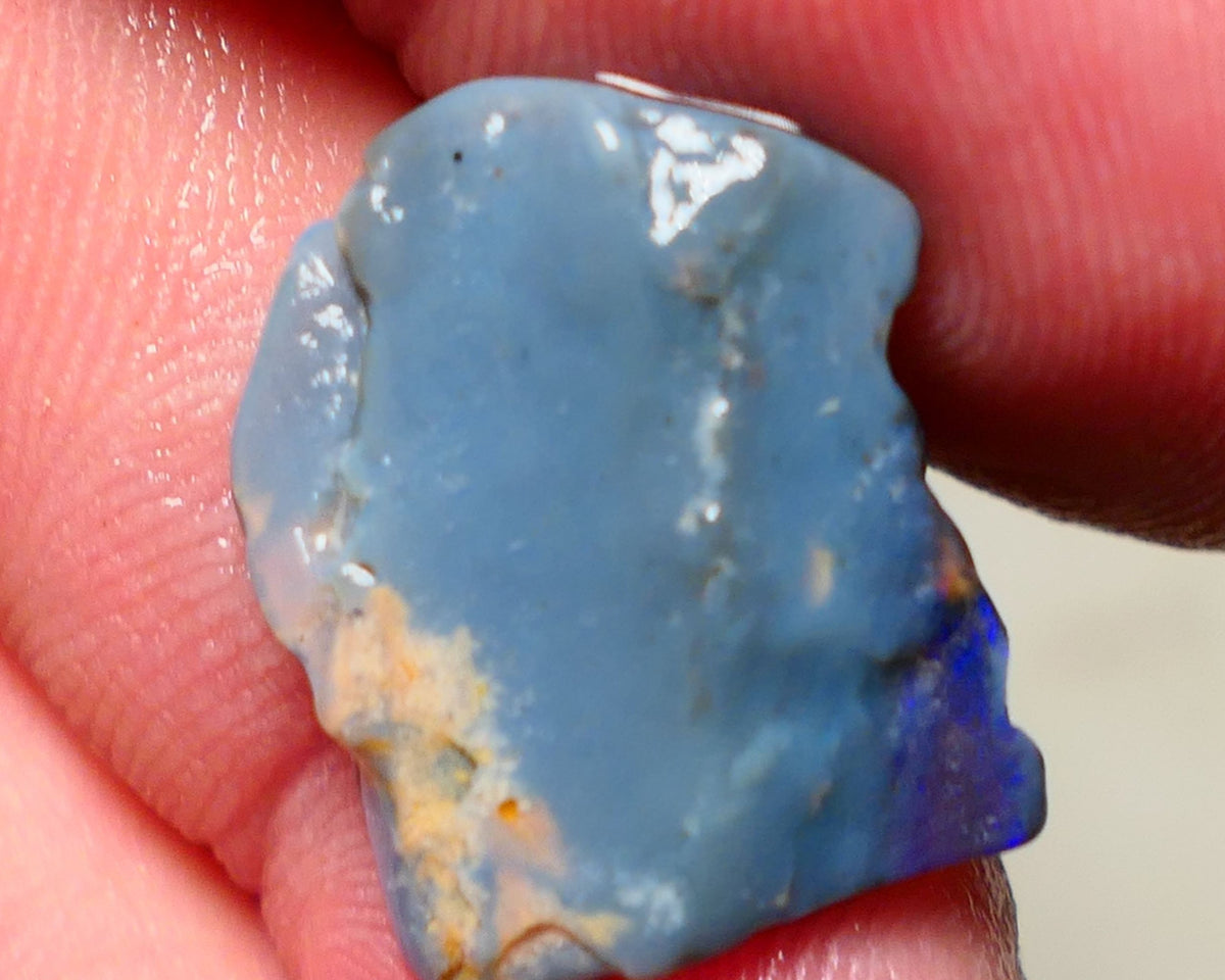 Lightning Ridge Rough Opal 7.50cts Blue on Dark Gamble Seam Nice Blues 19x16x3mm NS031