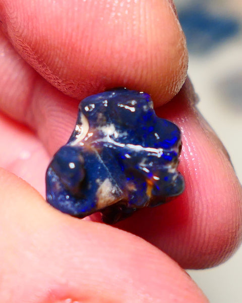 Lightning Ridge Rough Opal 8cts Blue on Black Gamble Seam Nice Blues 16x11x11mm NS029